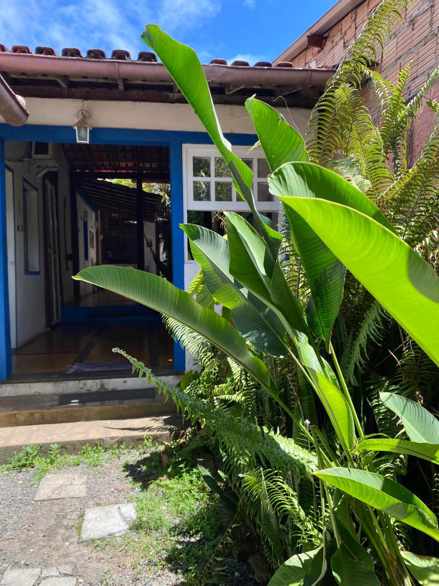 Tropicalia Hostel E Pousada Itacaré Exteriör bild